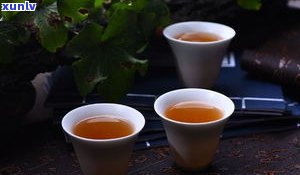 思普源普洱茶特点-思普源普洱茶特点介绍