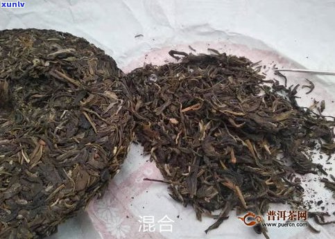 凤凰窝普洱茶官网-凤凰窝普洱茶怎么样