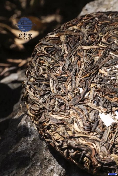 攸乐山普洱茶口感特点：千年古茶树普洱熟茶饼与生茶比较及价格一览