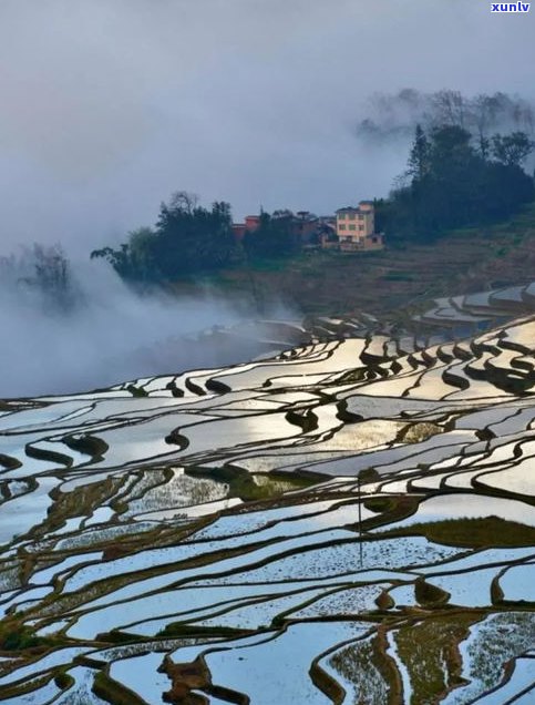 玉溪哀牢山风景区旅游攻略自驾游：路线、门票及全面指南