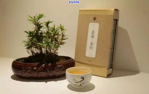 普洱茶苦味重：哪个山的茶？探究普洱茶的特苦之处与最苦之选