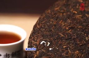 普洱茶前发酵效果-普洱茶前发酵效果怎么样