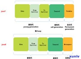 什么是干仓普洱茶的特点？从定义、储存方式到口感和作用全面解析