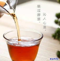 新会柑普茶的价格：臻乐品8个装精选，保质期多久？价格及图片全览