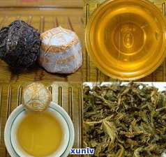 更佳实践：普洱茶饼洗茶次数与时间的探讨