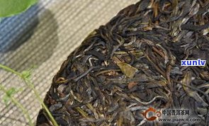 易武冷水箐普洱茶的特点与价格，以及古树茶的特性及产地介绍