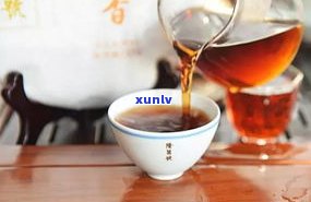 普洱茶化石冲泡指南：几泡更佳？每次用量多少？