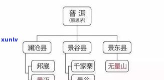 各茶区普洱茶的香型：种类、分类与香气类型全面解析