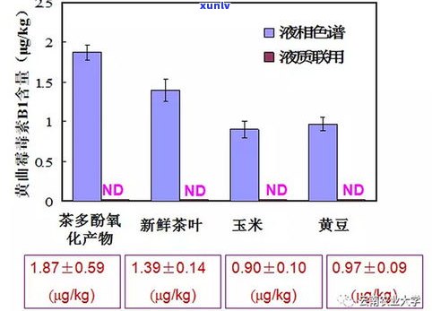 普洱茶黄曲霉：超标与风险全解析