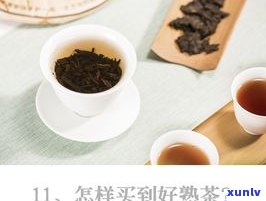 普洱茶叶知识大全：从入门到精通，图文视频全解析，一网打尽！