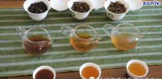 普洱茶配什么茶点更佳？搭配建议与口感解析