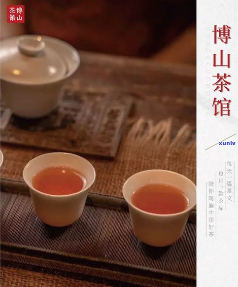 全面了解贵州普洱茶叶：品种、品牌、特点一网打尽