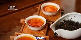 全面了解贵州普洱茶叶：品种、品牌、特点一网打尽