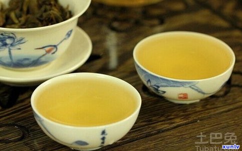 普洱茶为何偏爱生茶？长期饮用生茶的危害与好处全解析