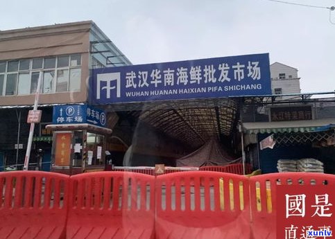 腾冲茶叶批发市场位置与进货攻略：云南腾冲茶叶交易市场推荐