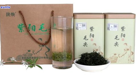 三明茶叶品牌排行榜：揭秘更受欢迎的三明茶叶品牌