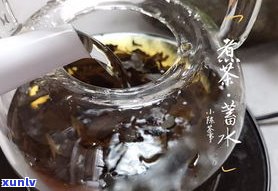 生普洱茶：需要煮吗？煮与不煮的区别是什么？