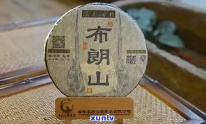 布朗山有普洱茶吗？知乎上的讨论及推荐