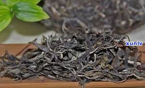 大白菜普洱茶最贵多少钱一斤？最新价格查询与生茶价格一览