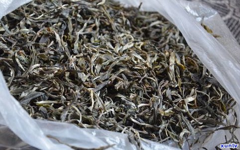 普洱茶大白菜价格查询：2000元/斤起，了解大白菜普洱生茶及白菜系列价格