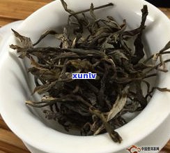 普洱茶压制过程详解：从散叶到饼状的全过程图解