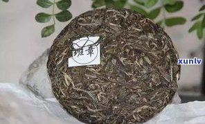 普洱茶饼上有白絮-普洱茶饼上有白絮状物