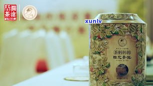 宝登源普洱茶好吗？口碑、品质全面解析！