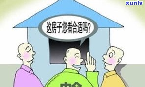 欠了网商贷会被拘留吗？了解风险及解决办法