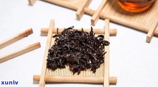 特级普洱茶的功效：揭示其作用与禁忌