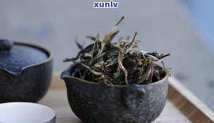 普洱茶的常见名称大全：包括名称、图片与图解