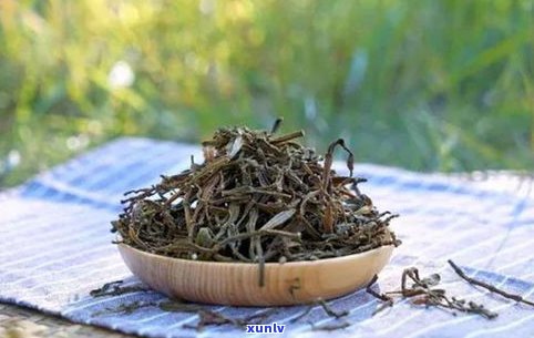 普洱嫩芽：好处、功效与茶类解析