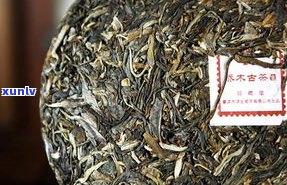 08年高山普洱茶-08年高山普洱茶价格表