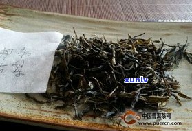 深入了解：老熟普洱茶的口感特点与评价