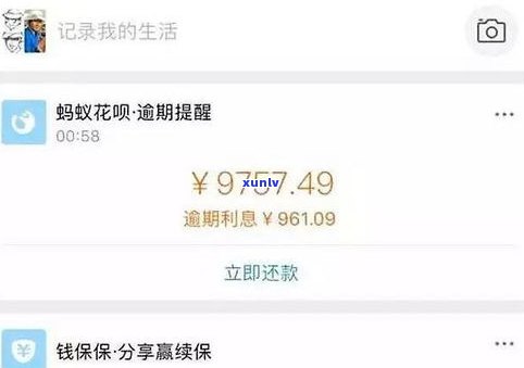 欠网贷还不起会坐牢吗-打父母  属于违法吗