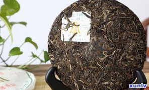 入门级普洱茶推荐-入门普洱茶哪个牌子更好