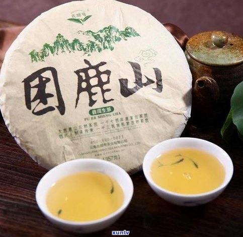 探究普洱茶的主要特征：口感、香气、  工艺等全面解析