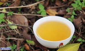 普洱茶的7大特征-普洱茶的7大特征是什么