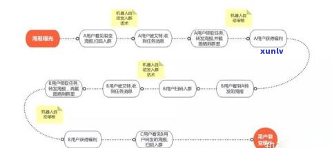 普洱茶的加工流程：详细解析其几个主要步骤与 *** 