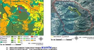 普洱茶勐海进出口-普洱茶勐海进出口情况