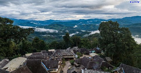 倚邦茶山图片：探索云南普洱倚邦茶山的分布与特色寨子