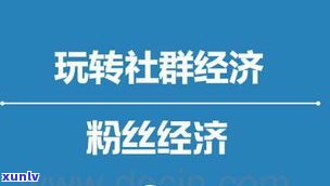 普洱茶交流：微信社群、热门网站与平台一网打尽！