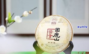 跟鹿有关的普洱茶品牌大全：名称、特点及推荐