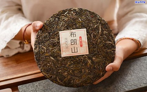 布朗山普洱茶多少钱一斤？价格、品质全面解析！