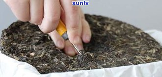 普洱茶饼怎么打散？正确 *** 与注意事项全解析