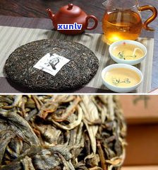 古树普洱茶饼价格：多少钱一个/斤？一般价格多少？