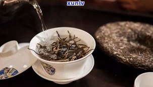 多元化普洱茶图片大全：高清大图合集