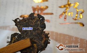 普洱熟茶颗粒：冲泡技巧、质量评测与价格分析