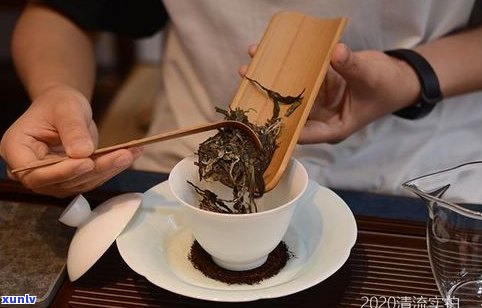 普洱茶大饼口感怎样？好喝吗？价格贵吗？看图、视频、知乎全解析！