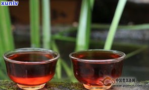 紫芽普洱茶泡出来是紫色的吗？它是紫色的，能喝吗？有图解吗？是紫色还是绿色？全解答！