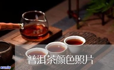 怎样能泡好普洱茶？视频、图片全面解析！